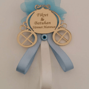 Bal Kabağı Araba Magnet