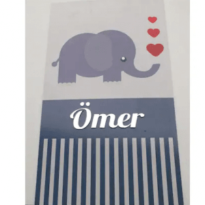 Erkek Bebek Odası Kapı Süsü
